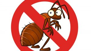 Tampa Pest Control